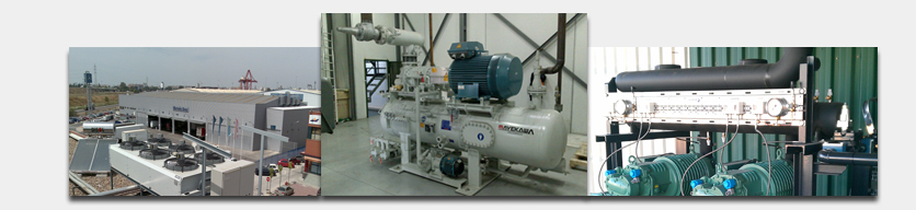 FRIO INDUSTRIAL EN MURCIA frio industrial en murcia: